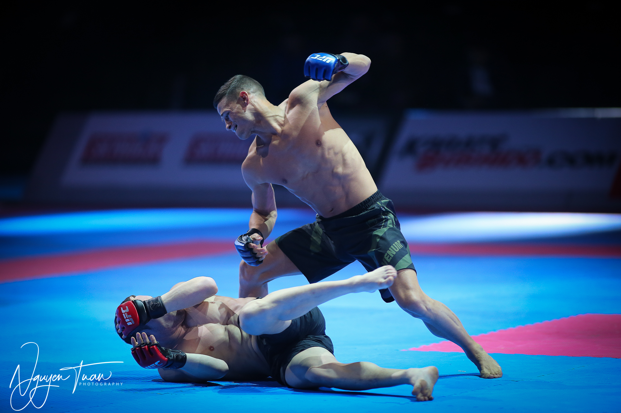 20190324 Festival des Arts Martiaux 0508